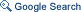 Google Search